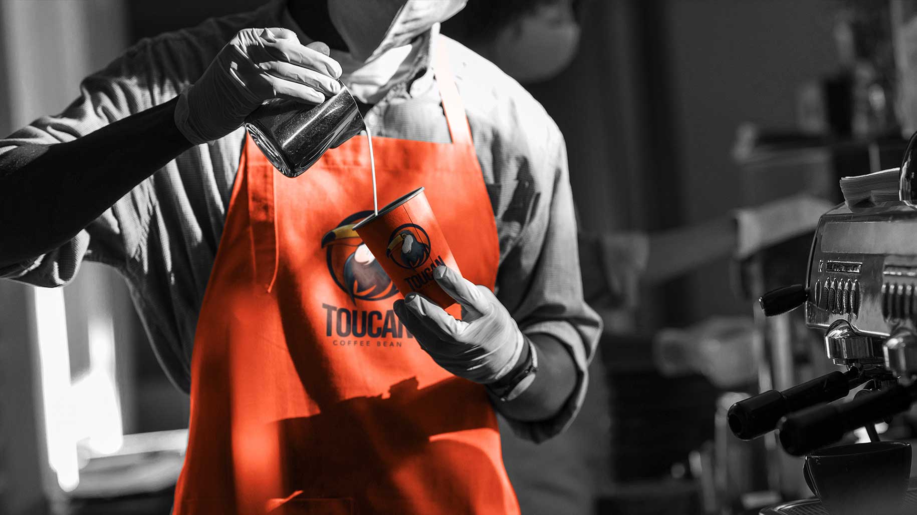 Toucan Coffee Bean